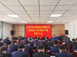 NG官网 召开2020年度辅导班子和辅导干部查核大会