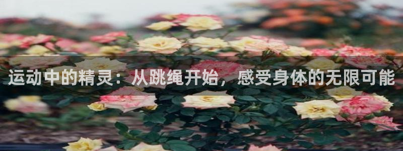 意昂4集团logo：运动中的精灵：从跳绳开始，感受身体的无限