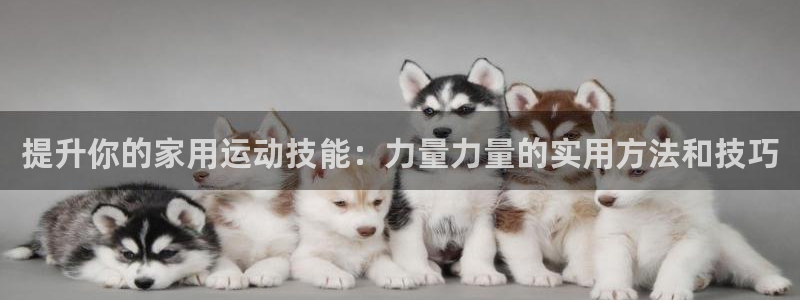 意昂4集团官网网址：提升你的家用运动技能：力量力量的