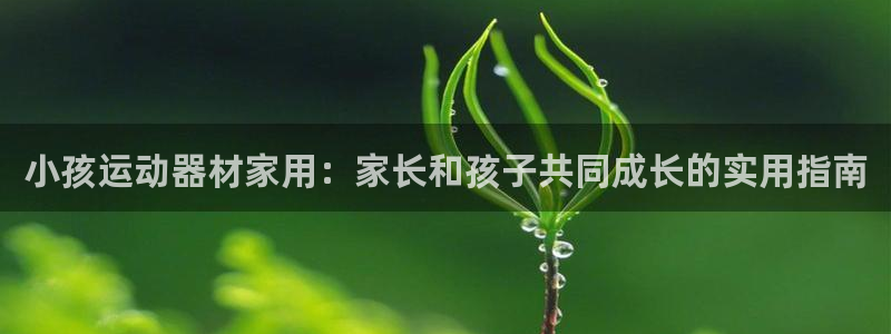 意昂体育4招商电话地址：小孩运动器材家用：家长和孩子