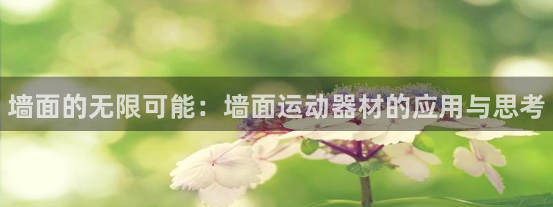 意昂体育4招商电话地址查询：墙面的无限可能：墙面运动