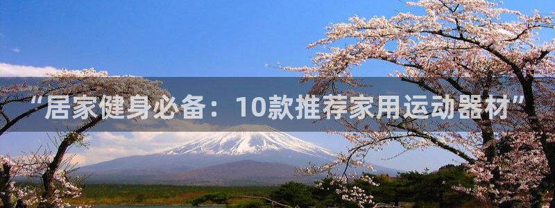 意昂体育4平台注册流程图：“居家健身必备：10款推荐家用运动
