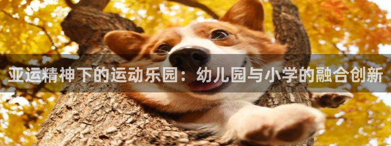 意昂体育4招商电话号码