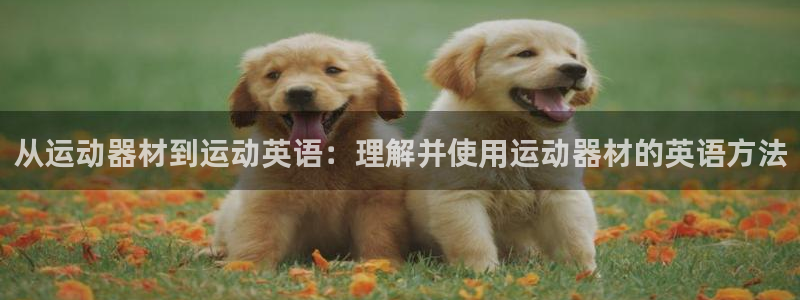海南意昂体育4发展怎么样：从运动器材到运动英语：理解并使用运