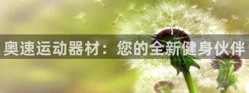 意昂4科技：奥速运动器材：您的全新健身伙伴