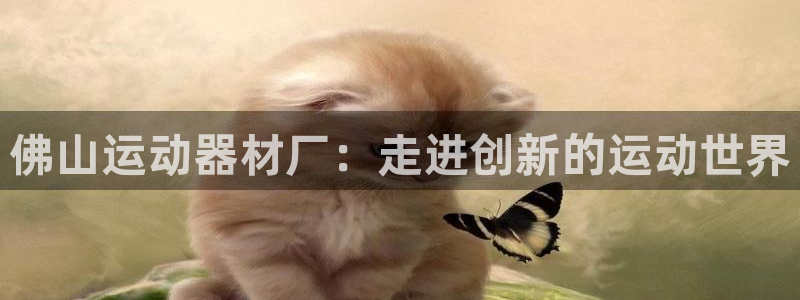 意昂体育4平台注册要钱吗安全吗：佛山运动器材厂：走进创新的运