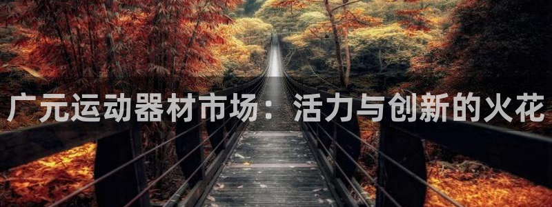 意昂4娱乐：广元运动器材市场：活力与创新的火花