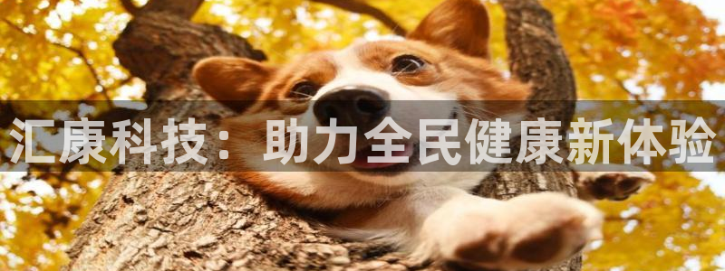意昂体育4娱乐：汇康科技：助力全民健康新体验