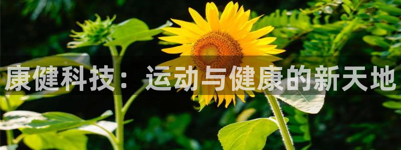 意昂体育4平台假的吗是真的吗：康健科技：运动与健康的