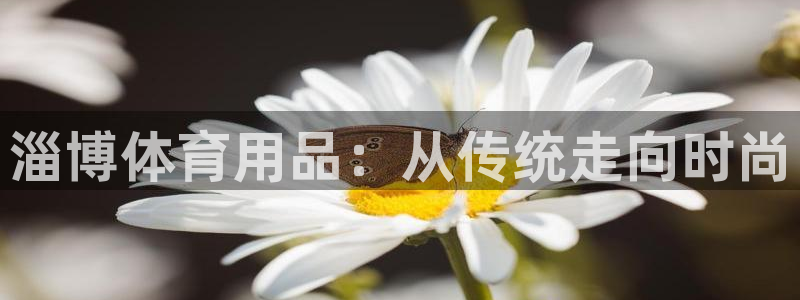意昂体育4官方客服电话：淄博体育用品：从传统走向时尚