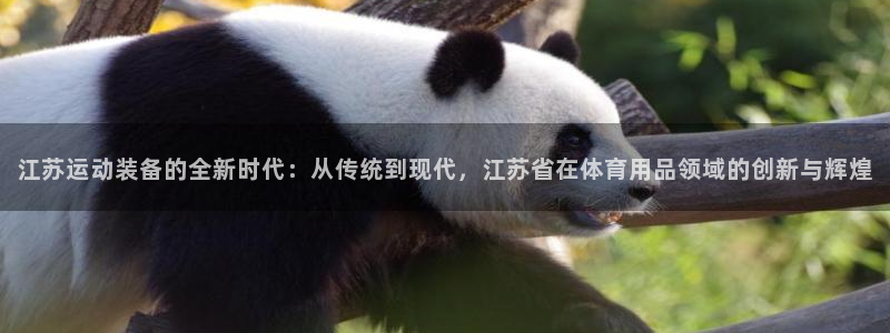 意昂体育4平台假的吗是真的吗吗：江苏运动装备的全新时代：从传