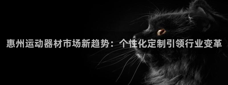 意昂4五金厂：惠州运动器材市场新趋势：个性化定制引领行业变革