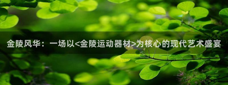 意昂体育4是干嘛的公司：金陵风华：一场以<金陵运动器