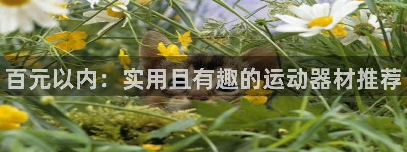 意昂体育4平台注册要钱吗是真的吗